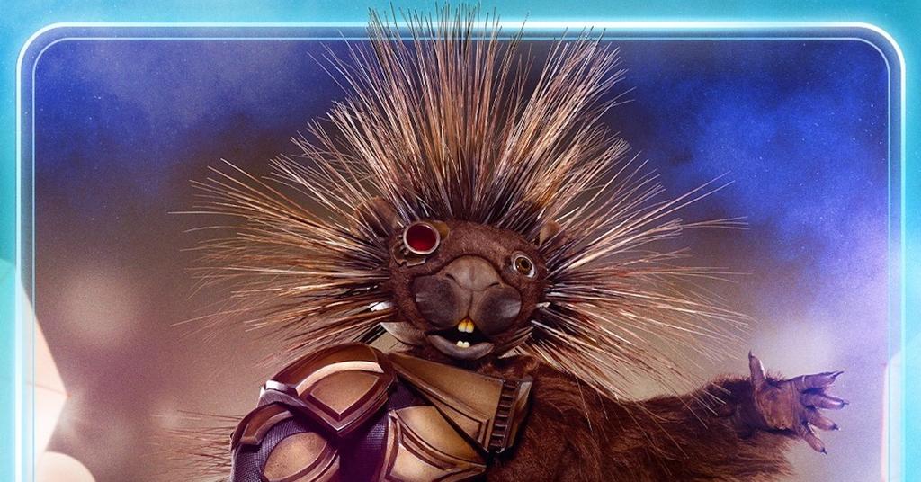 Who Is Porcupine on 'Masked Singer' Season 5? Clues, Guesses, Reveal