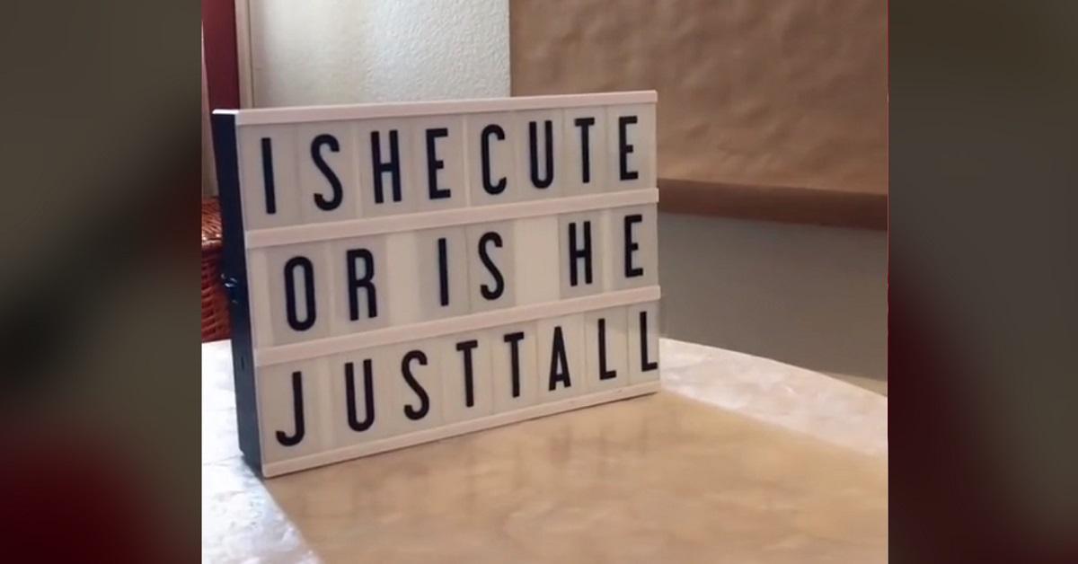 What Does Red Flag Mean on TikTok? What the Emoji Is Being Used For