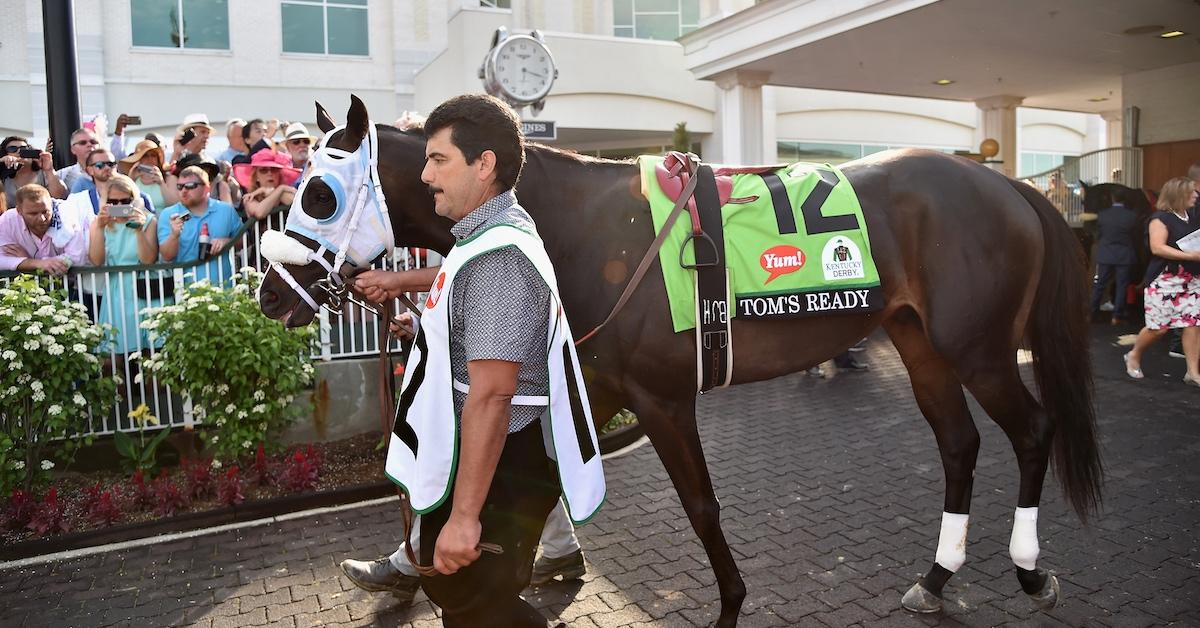 A view of a racehorse on it's way to the track at the 142nd Kentucky Derby at Churchill Downs