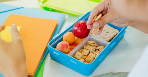 school lunchbox