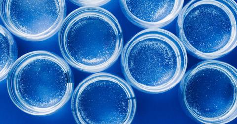 Shark Week cocktails