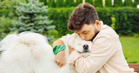 3-kissing-dogs-1563467989304.jpg