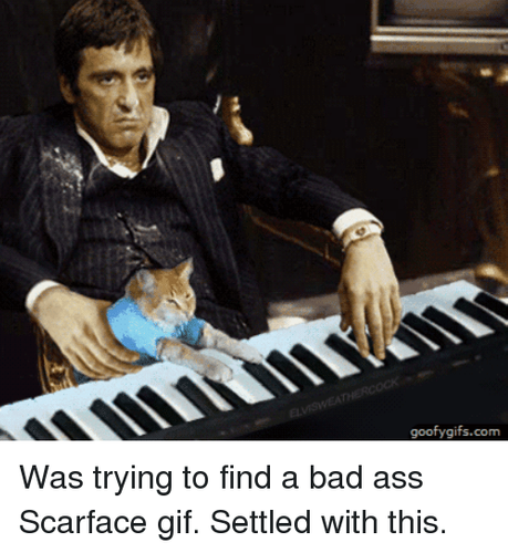 Scarface Rapper Meme 15