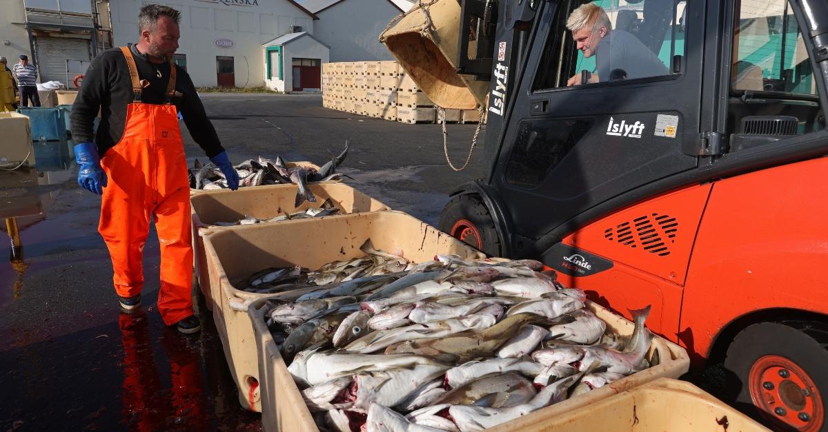 Fishermen in Iceland