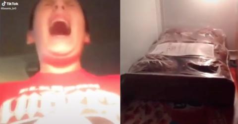 who put the muffins in the freezer tiktok