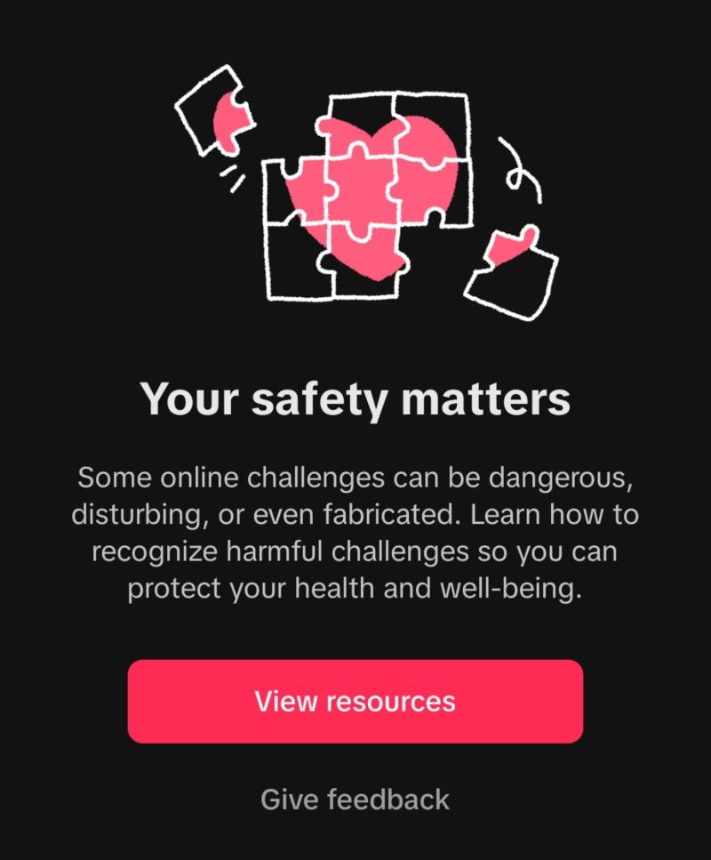 TikTok pop-up warning