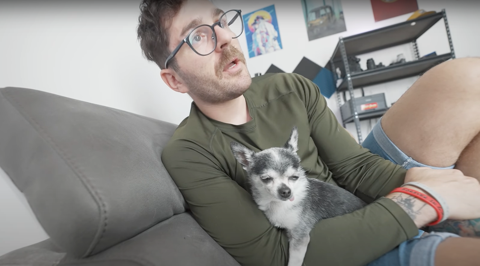 Yes, Mr. Marbles Is Still Alive — An Update on Jenna Marbles' Dogs