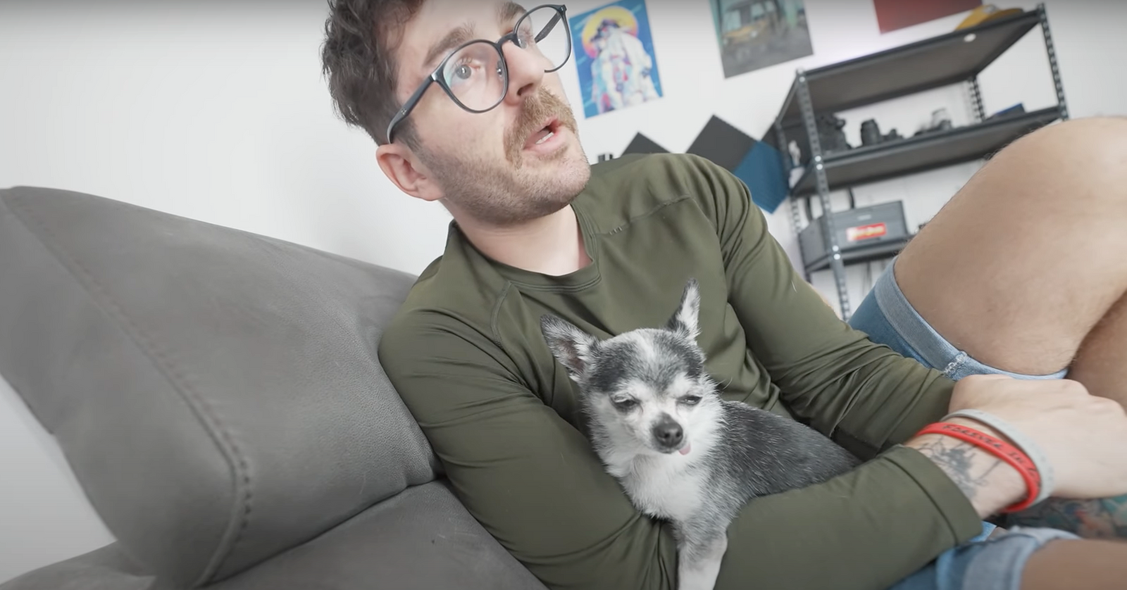 Yes, Mr. Marbles Is Still Alive — An Update on Jenna Marbles' Dogs