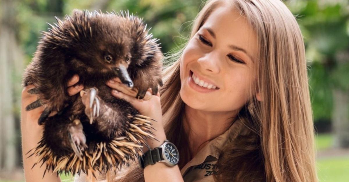 is bindi irwin vegan