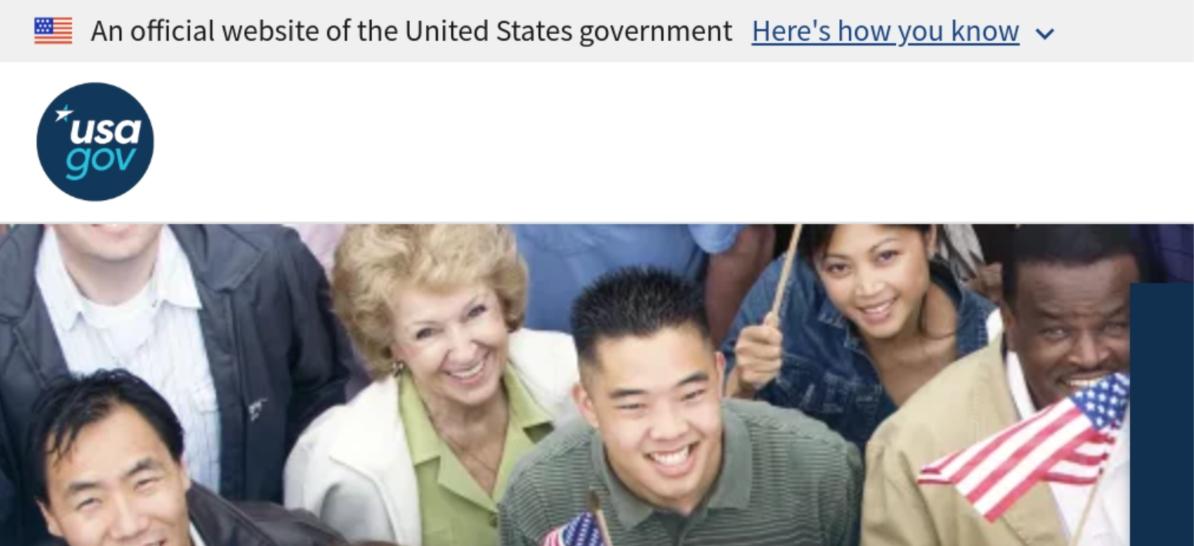 U.S. government website with nine star flag