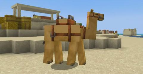 Camel In Minecraft