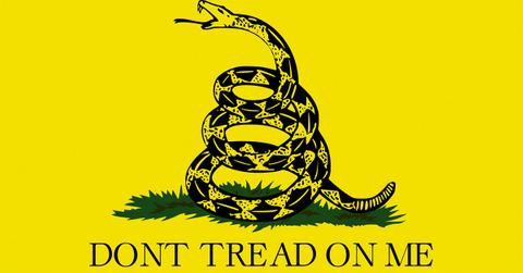 The Gadsden flag.