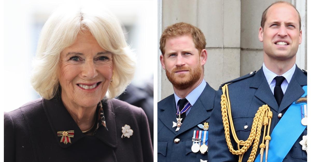 Queen Consort Camilla Parker Bowles, Prince Harry, and Prince William