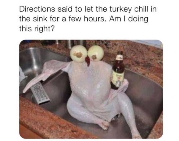 thanksgiving meme chill turkey