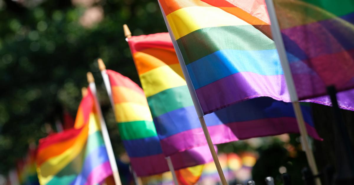 13 Pride Flags And Their Meanings