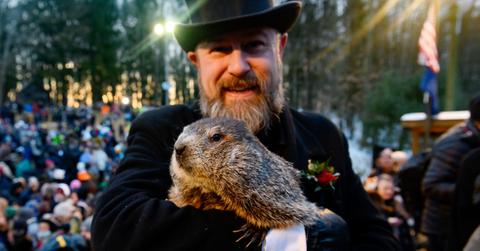 Punxsutawney Phil