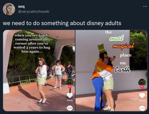 Adult Disney Fan Told to ”Grow Up” After Crying When They Met Goofy