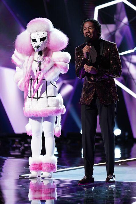 masked singer poodle