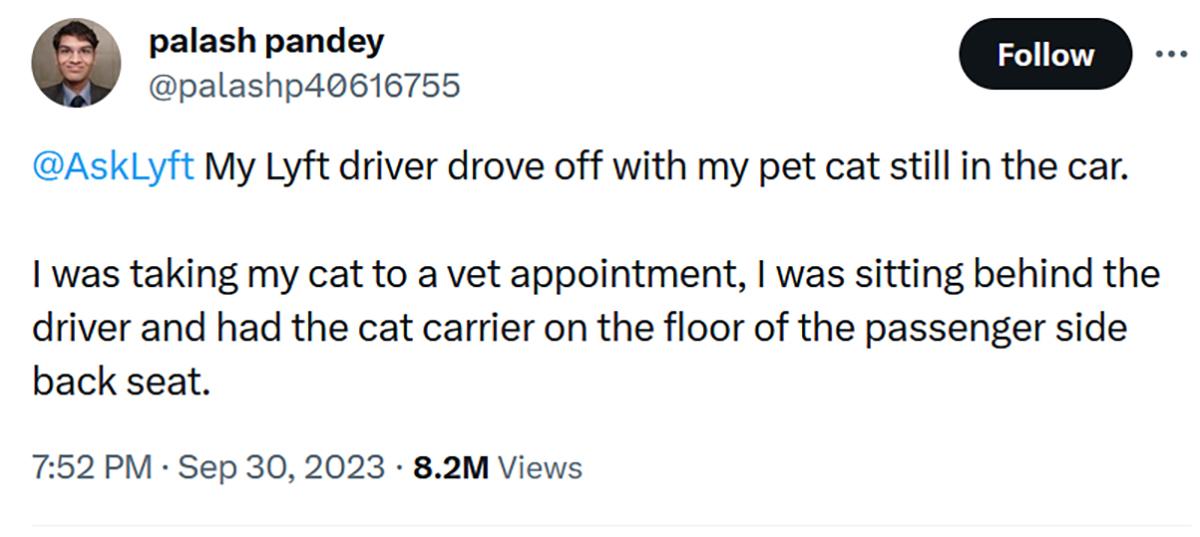 Lyft driver took off with cat tweet