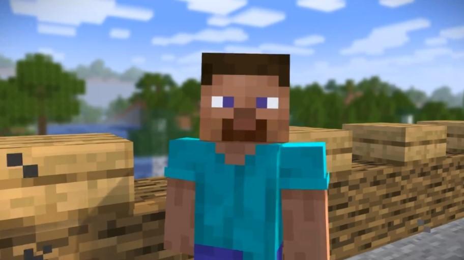 Steve from Minecraft