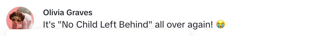 A commenter saying "It's 'No Child Left Behind' all over again!"