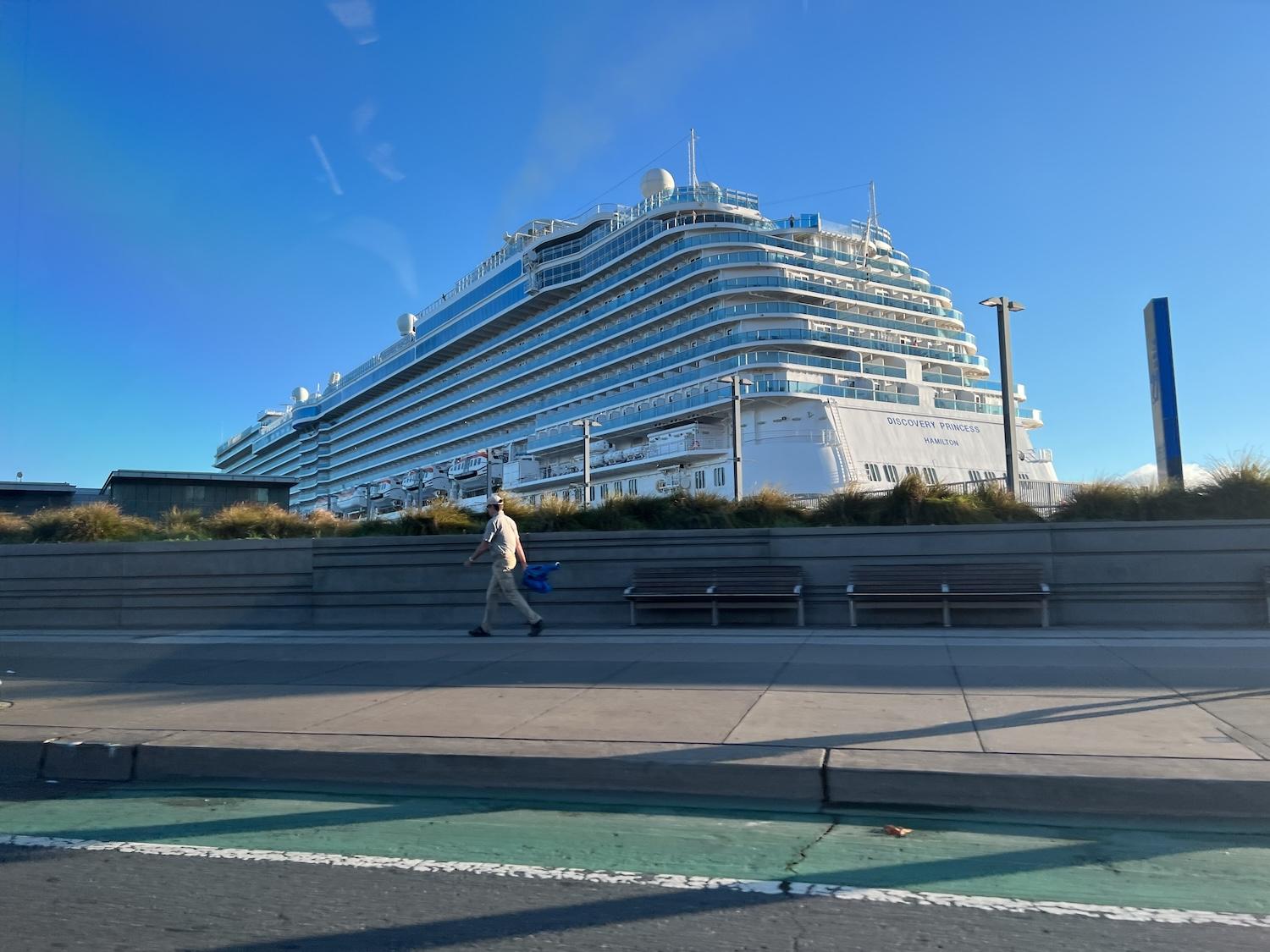 princess cruise ship docked on a clear day