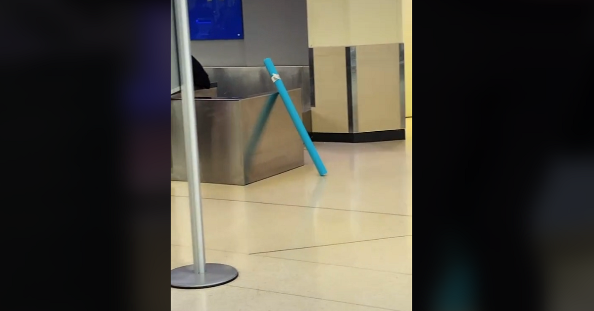 TikTok's Viral Pool Noodle Flew Across the Country Thanks to Southwest