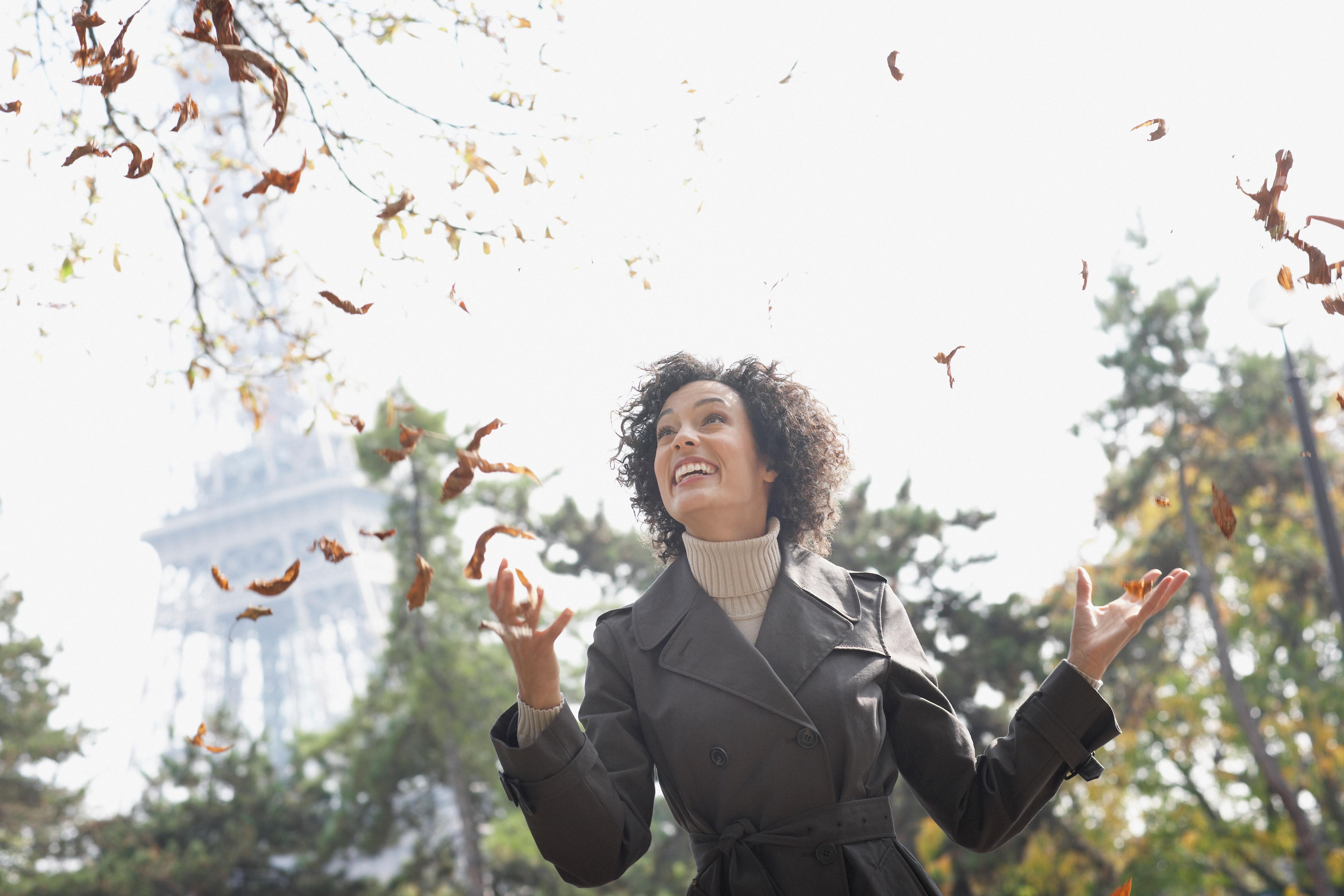 Autumn leaves falling