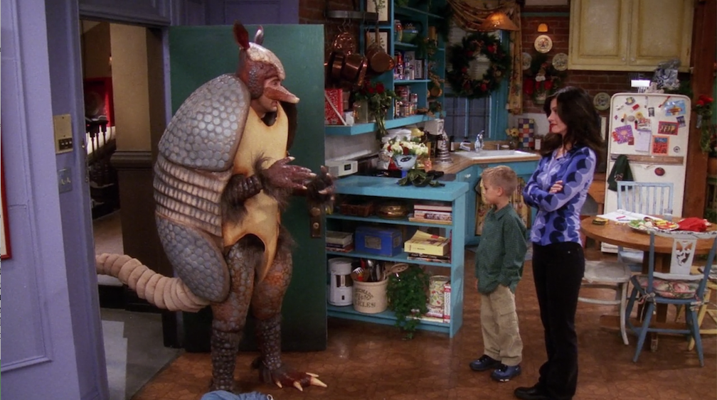 friends holiday armadillo