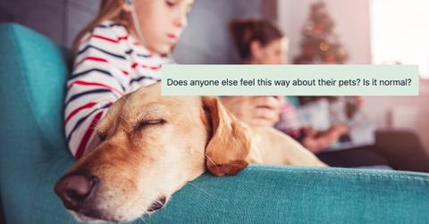 Dog laying on sofa with his owners - stock photo - Small yellow dog laying on blue sofa with mother and daughter at home
