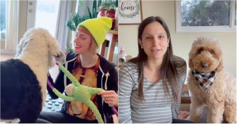 Call Your Dog Challenge