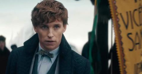 Eddie Redmayne as Newt Scamander