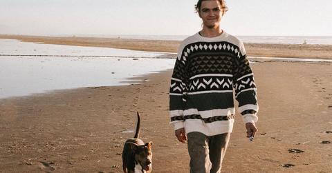 jacob roloff chris cardamone allegations