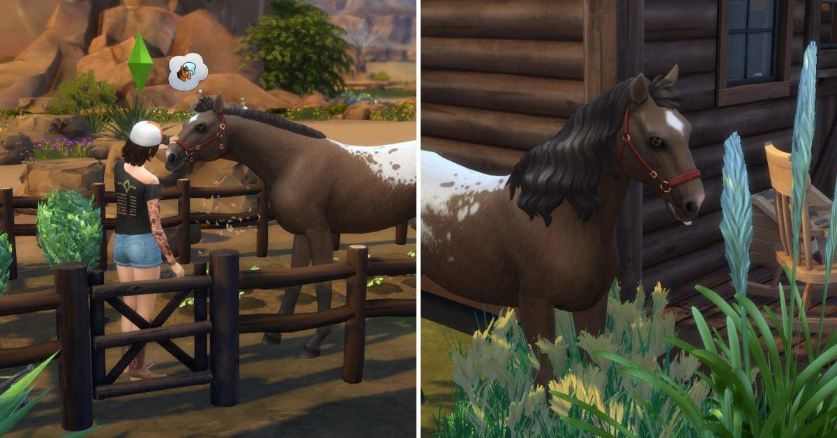 sims 4 horse ranch horses