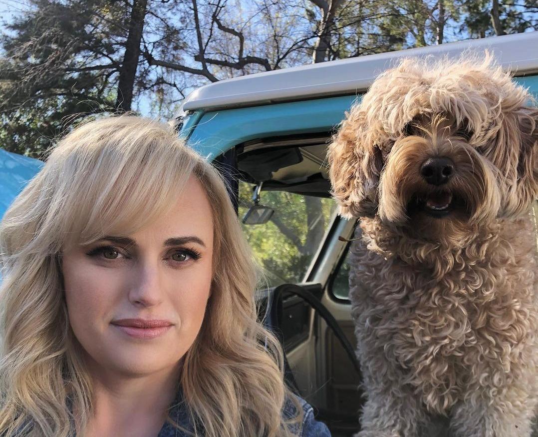 rebel wilson pooch perfect