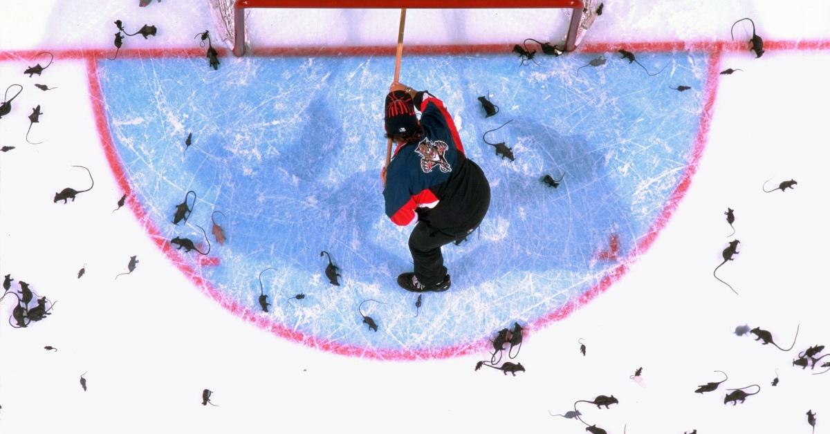 Why Do Panthers Fans Throw Rats on the Ice? Inside the Tradition