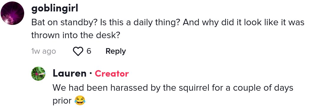 squirrel conference call tiktok