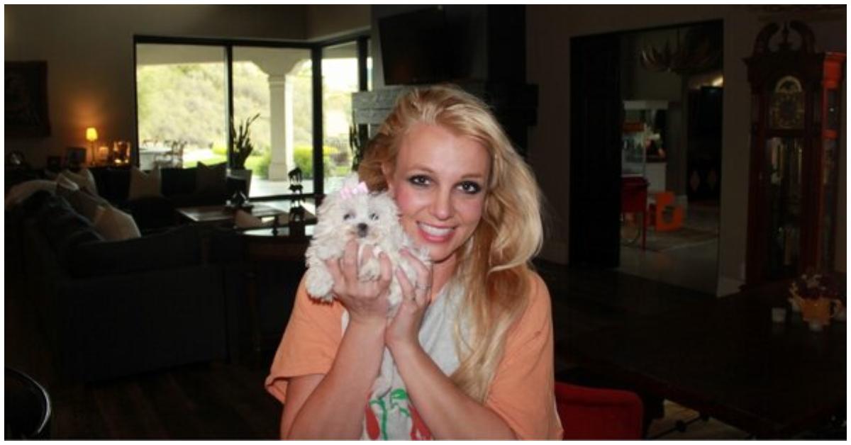 Britney Spears and one of her dogs