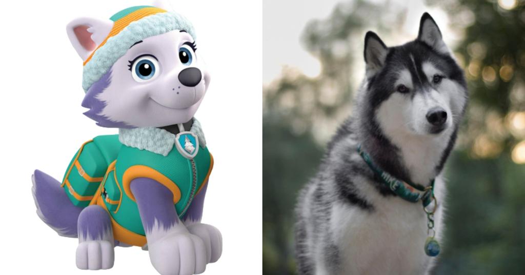What Are the Dog Breeds on ‘Paw Patrol’? Here's What We Know