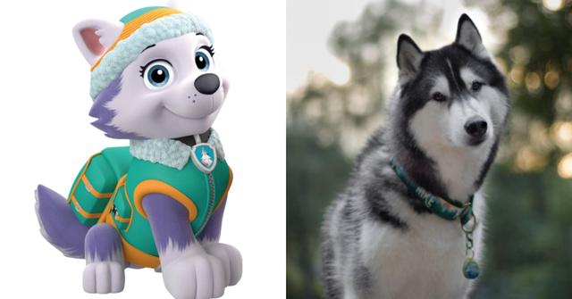 What Are the Dog Breeds on ‘Paw Patrol’? Here's What We Know