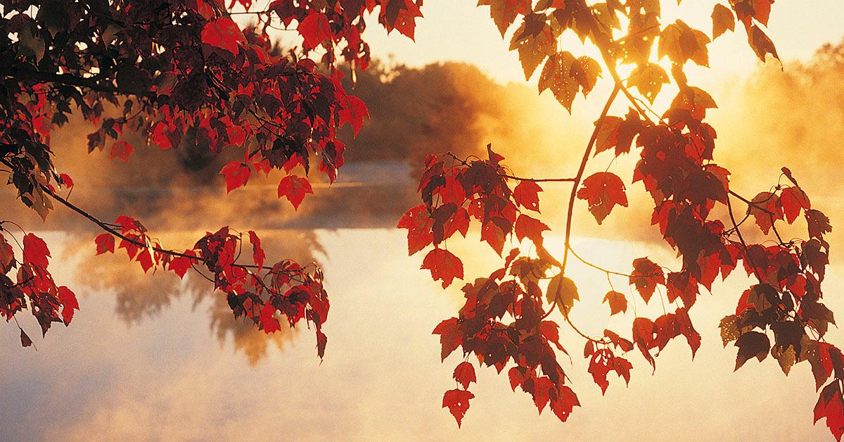 What Is the Fall Equinox and What Is the Meaning Behind the Day?