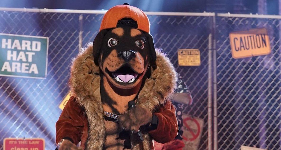 rottweiler masked singer