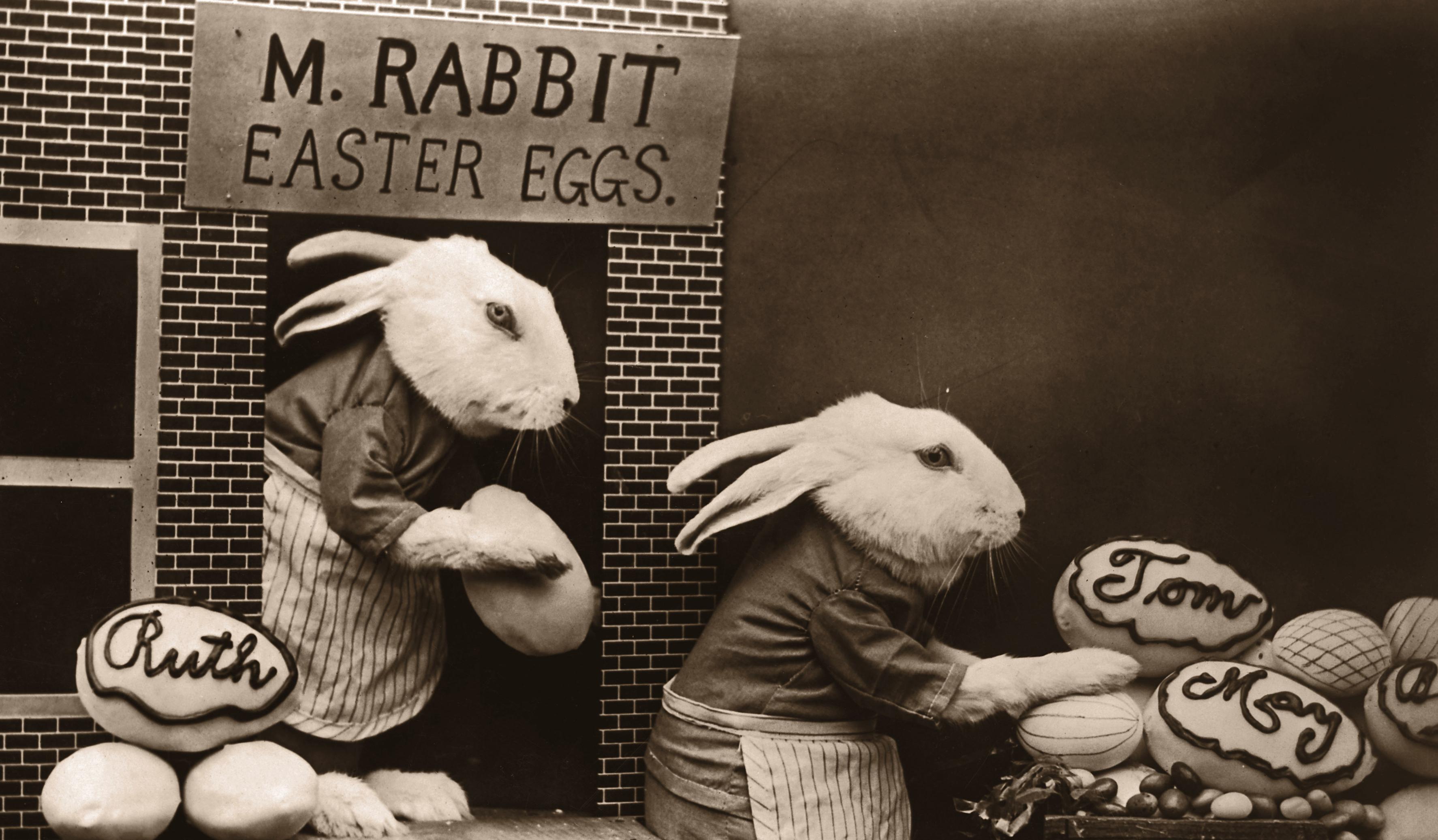 Is the 'Rabbit Rabbit' Movie in 'American Horror Stories' Real?