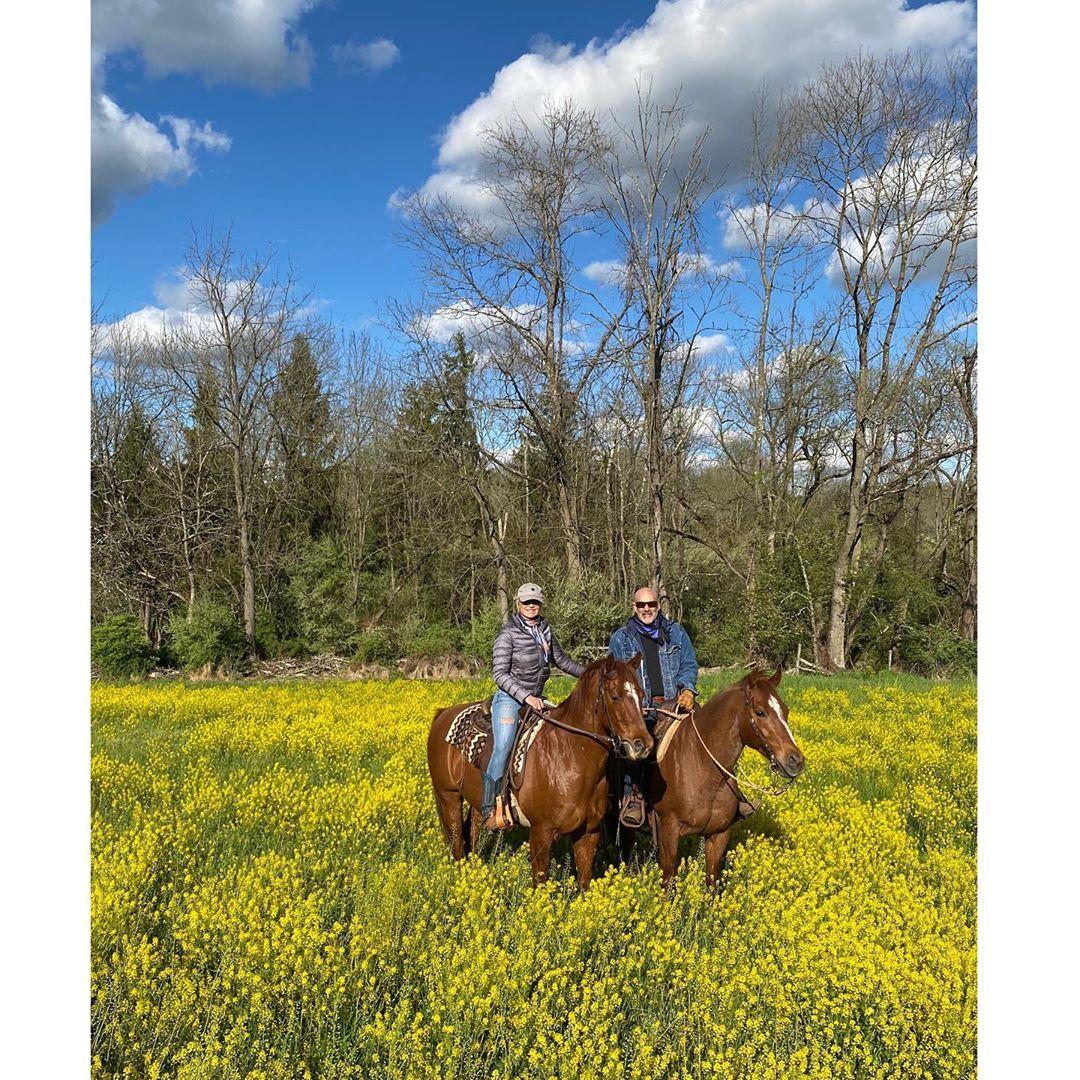 yolanda joey horses