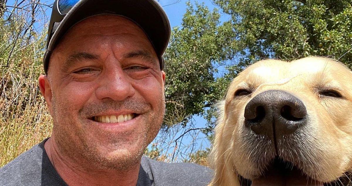 Joe Rogan with his dog