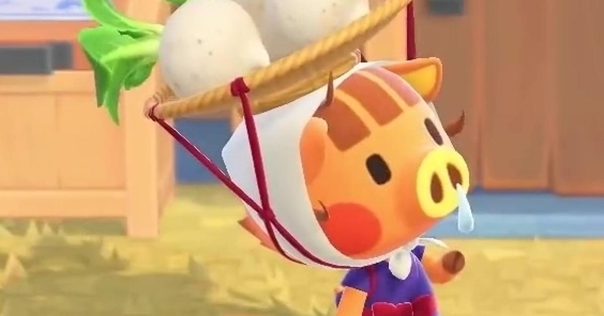 A Guide to the 'Animal Crossing' Turnip Lady: How to Buy, Store, and Trade  Turnips