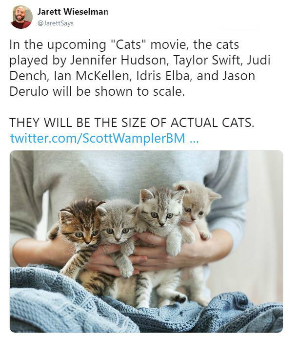 The Cats in the 'Cats' Movie Will Be the Size of Actual Cats