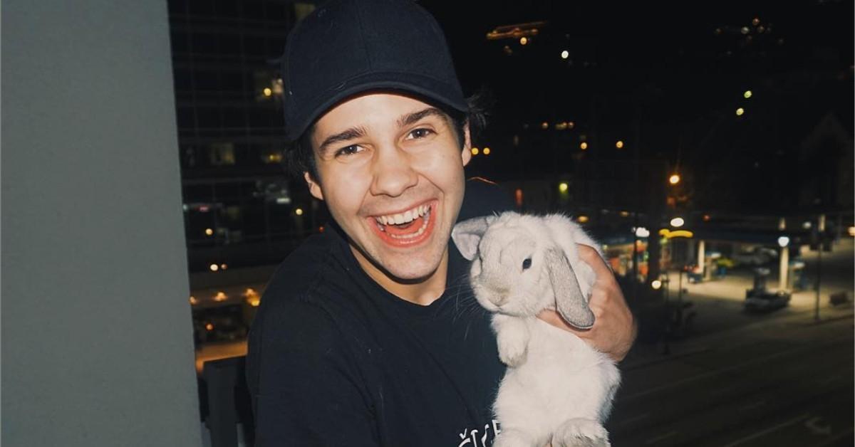 david dobrik with a beard