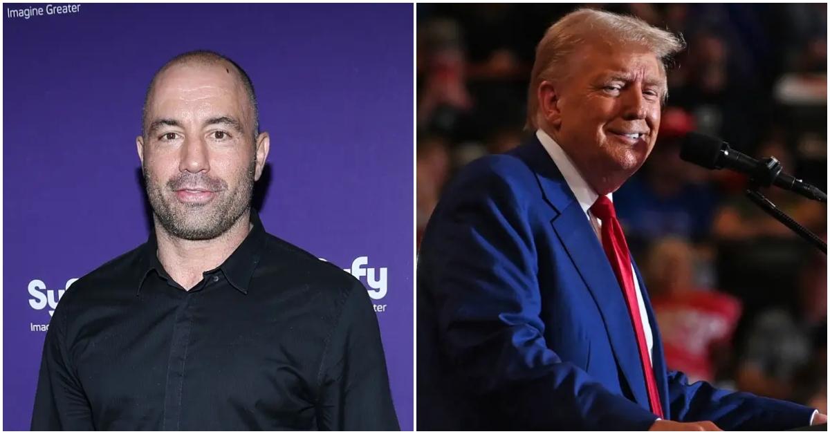 Joe Rogan and Donald Trump