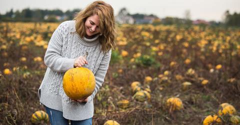 best pumpkin patch near me